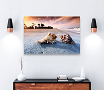 Obraz Spomienky na more zs1113